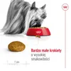 Royal Canin 3182550793735, Dorosły, Każda rasa, Drób, Ryż, Podgląd zdjęcia produktu 6