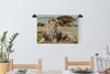 MuchoWow® Wandteppich Wandbehang Löwen - Wild - Afrika Produktbild-Vorschau 3