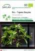 SAFLAX - Bio - Tajska Bazylia - 250 Nasiona - Ocimum Podgląd zdjęcia produktu 1