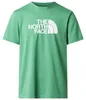 Pánské tričko The North Face M EVOLUTION HALF DOME REGULAR Náhled obrázku produktu 6