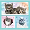 Trefl TREFL Puzzle 3 in 1 set Kittens Anteprima dell’immagine prodotto 2