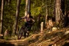 Shimano BR-M6120 Strmeň kotúčovej brzdy Náhľad obrázku produktu 9