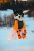 Non-stop dogwear Hundeschuhe Contact Bootie High orange, Produktbild-Vorschau 9