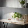 A desk with a lamp, books, and plants. Produktbild-Vorschau