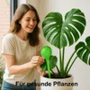 8 Bewässerungskugeln Set Topfpflanzen Gießkugeln Produktbild-Vorschau 6