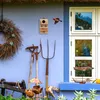 Relaxdays Nistkasten für Kohlmeise & Gartenrotschwanz, mit Produktbild-Vorschau 5
