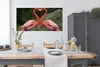 MuchoWow® Poster Zwei Flamingos bilden ein Herz 150x75 cm - Produktbild-Vorschau 3