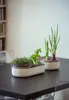 Plastia Urbalive Hydrokultur-Schale Regrow, Elfenbein Produktbild-Vorschau 22