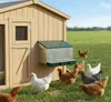 Agrarzone Outdoor Legowisko dla kur 3 przegródki Podgląd zdjęcia produktu 3