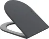 A dark gray toilet seat and lid are shown on a white background. Náhled obrázku produktu