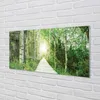 Glasbilder 120x60 Wandkunst Birke Forstweg Produktbild-Vorschau 2
