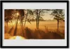 Bild 70x50 MDF-Rahmen Wandkunst Bäume Natur Produktbild-Vorschau 1