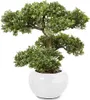 Bonsai 33cm Boltze Produktbild-Vorschau 1