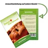 Kürbis Roter Zentner Samen - Cucurbita maxima - Kürbissamen Produktbild-Vorschau 4