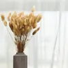 Getrocknete Hasenschwanzgras - (Lagurus) - Natur Produktbild-Vorschau 4
