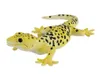 Mojo Wild Life Luipaard Gekko 381077 Anteprima dell’immagine prodotto 3