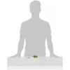 Collecta - Einiosaurus - L - 88776 (90188776) COLECTA Produktbild-Vorschau 3