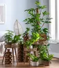 Dehner Übertopf Elias, handgefertigter Indoor Blumentopf, Ø Produktbild-Vorschau 3