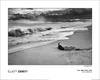 Magnum - "Elliot Erwitt - Usa New York East Hampton 1998" Anteprima dell’immagine prodotto 2