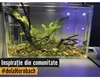 Vollglas Aquarium Marina 40 x 25 x 24 cm Floatglas Produktbild-Vorschau 5