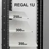 Extralink Fachboden 19 Zoll 1U 250mm für Wandschrank Produktbild-Vorschau 3