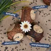 2 x 4 Stk. Lyra Pet® Gefüllte Kokosnuss mit Löchern Produktbild-Vorschau 2