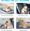 Tapis d'entraînement Nanipets® pour chiens, tapis pour Voir les images du produit 5