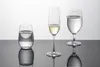 Schott Zwiesel, 6 stuks universele bekers Viña, tritan, Productafbeelding-voorbeeld 4