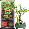 Bonsai Erde Ficus - 5l - Hochwertig - Nährstoffreich - Produktbild-Vorschau 1