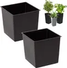Two black square plant pots are shown against a white background. In the background, three potted plants in different colored pots are visible. Produktbild-Vorschau