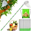 Obstpflücker,Apfelpflücker,Pflückhilfe 4M,Obstgreifer Produktbild-Vorschau 1
