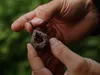 DELPHIN CyberBARBED KARPER - Lood met barbs, grondlood, Productafbeelding-voorbeeld 5