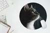 MuchoWow® Mauspad Mousepad Hauskatze 40x40 cm - Mousepads - Produktbild-Vorschau 5