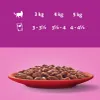 Whiskas Klasyczne Posiłki (1+) - mokra karma dla dorosłych Podgląd zdjęcia produktu 2