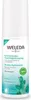 Weleda Feigenkaktus erfrischendes Feuchtigkeitsspray 100ml Produktbild-Vorschau 13