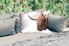 MuchoWow® Outdoor Kissen - Schottische Hochlandrind - Kühe Produktbild-Vorschau 2