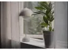 AEG Zubehör AFDFRH6 FRESH360 Filter für AX91-604 AFDFRH6 Produktbild-Vorschau 7