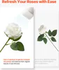 VEVOR Künstliche Rosenblüten, 120 Stück Kunstblumen, weiß, Produktbild-Vorschau 5