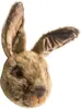 Wild & Soft Hase Lewis Tierkopf | Zubehör Jugendzimmer Produktbild-Vorschau 2