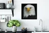 MuchoWow® Gerahmtes Poster Adler - Schwarz - Weiß 40x40 cm Produktbild-Vorschau 3