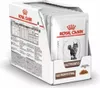12x85 g Royal Canin Gastro Intestinal - Katze Produktbild-Vorschau 4