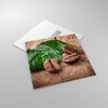Bilder auf glas - Aroma Kaffee Pflanze Samen - 70x70cm - Produktbild-Vorschau 2