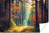 MuchoWow® Poster Wald - Sonne - Natur - Herbst 180x120 cm - Produktbild-Vorschau 1