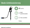 Paulmann Plug & Shine Spotleuchte Náhled obrázku produktu 4