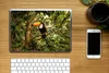 MuchoWow® Laptop Aufkleber Sticker Cover Vogel - Tukan - Produktbild-Vorschau 2