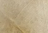 Vlies Fototapete Abstrakte Blätter 400x280 cm Tapeten Produktbild-Vorschau 4