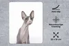 MuchoWow® Mauspad Mousepad Überrascht Sphynx auf einem Produktbild-Vorschau 2