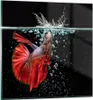 Bilder auf glas - Fisch Wasser Natur - 30x30cm - Glasbilder Produktbild-Vorschau 1