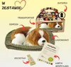 Perfect Petzzz Cavalier King Charles 96309 Produktbild-Vorschau 8