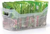 A clear plastic storage container filled with packets of seeds. Anteprima dell’immagine prodotto